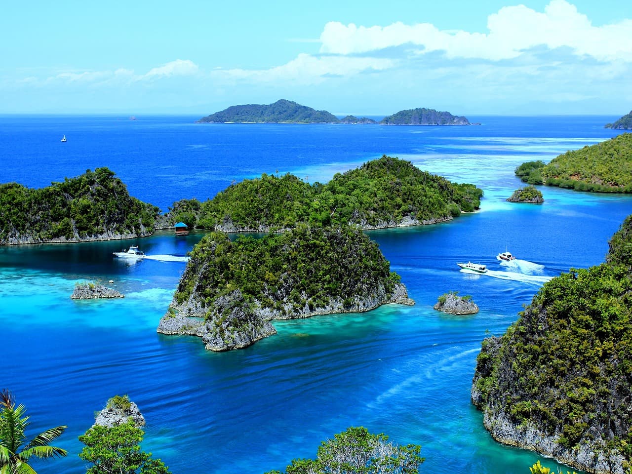 Discover the Real Indonesia
